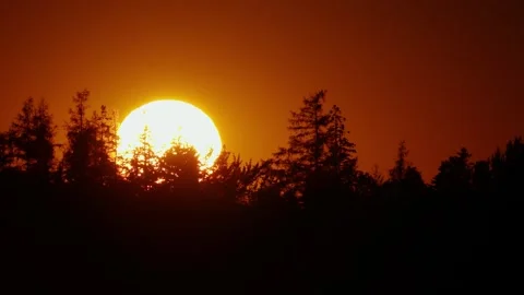 Zoomed in Sunset Timelapse Stock Footage 317648209