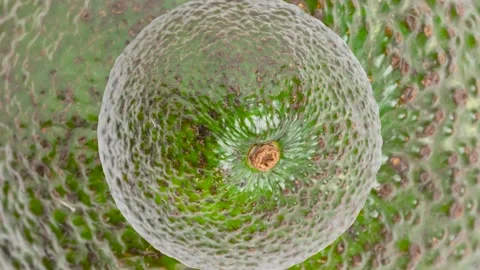 Zooming Avocado in seamless loop  background. Exotic fruits in seamless loop Stock Footage 222318168