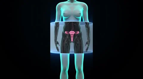 https://images.pond5.com/zooming-female-body-scanning-womb-footage-067798286_iconl.jpeg