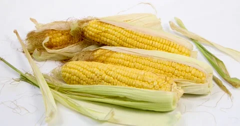 Zooming in fresh corn isolated on white background 動画素材 133724394