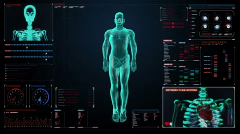 Zooming Human skeletal structure, bone system in digital display user interface. Stock Footage 63192765