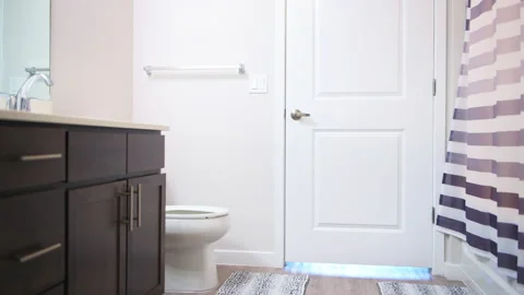 Zooming in master bathroom interior modern luxury toilet and floor rugs Stock-Footage 166661965