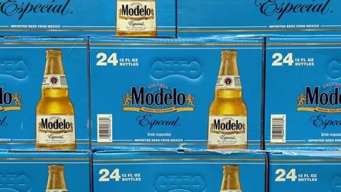 Modelo Stock Footage ~ Royalty Free Stock Videos | Pond5