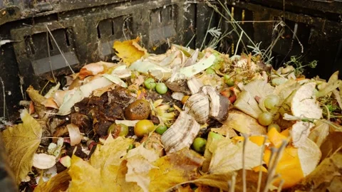 Zooming out from a composting bin Stock Footage 143860306