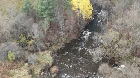 Zooming out of a small active stream 動画素材 142316545