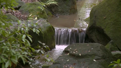 Zooming out of stream in forest Stock Footage 123082688