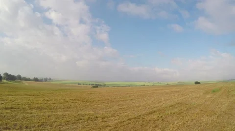 Zooming over the meadow Stock Footage 49539725