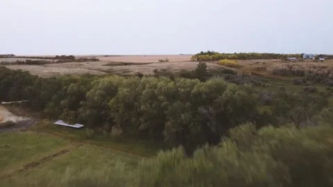 Zooming Over Trees to View Fields Stock-Footage 139791269