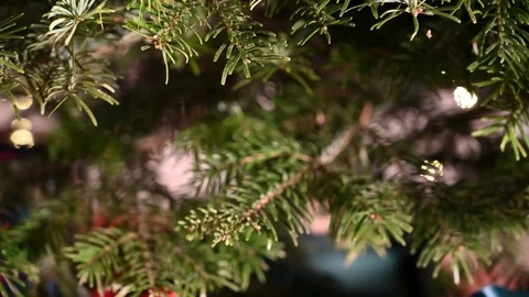 Zooming in on presents underneath a christmas tree Stock Footage 115994898