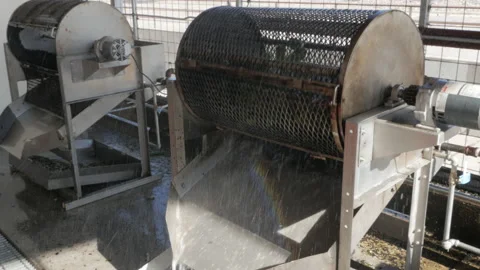 Zooming in on a Spinning Drum Roaster of Fresh New Mexican Green Chile Stock Footage 135362352