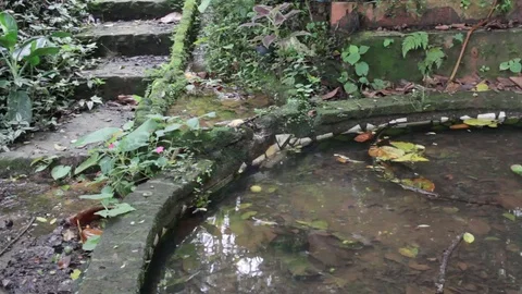 Zooming into stream of water flowing into small garden Stock Footage 122307175