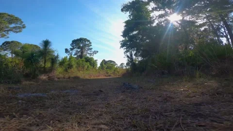 Zooming through the trail. Stock Footage 152417535