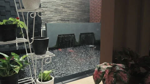 Zooming in view of fish pond during raining day Stock Footage 150375201