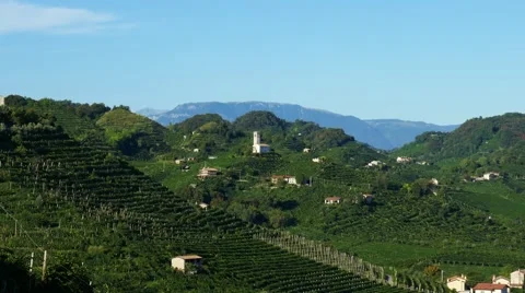 Zooming view of Prosecco hills Stock Footage 66526076