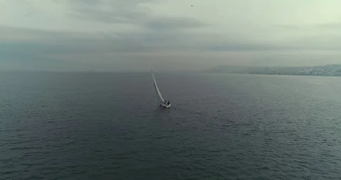 Zoomout Vídeos de archivo 125569436