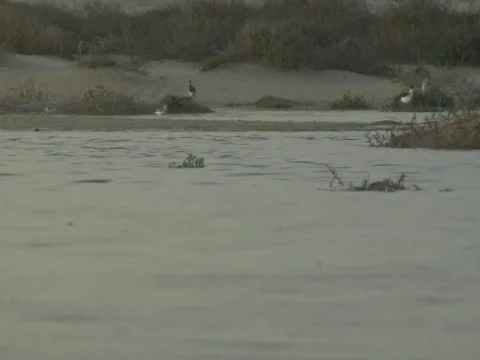 Zoomout to reveal floating plastic pollution Video stock 707697