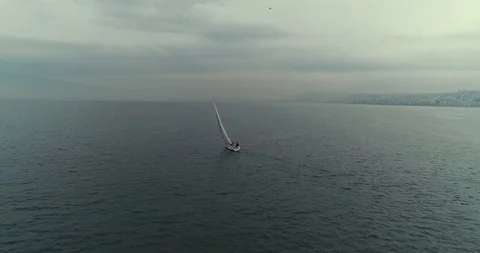 Zoomout4k Vídeos de archivo 125569543