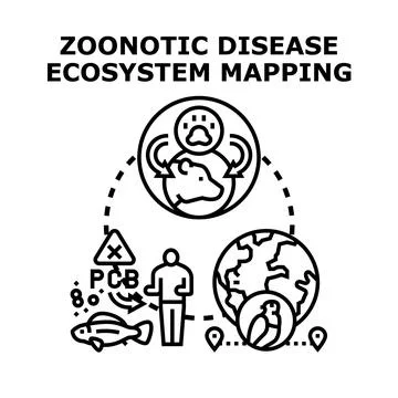 Zoonotic disease ecosystem mapping connecting human and animal health Stock Illustration
