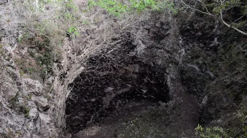 Zotz Bat Cave Stock Footage 77382488