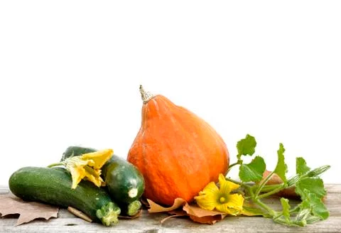 Zucchini and pumpkin Foto stock
