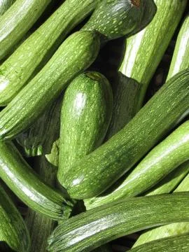 Zucchini background Stock Photos