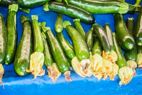 Zucchini background unit isolate Stock Photos