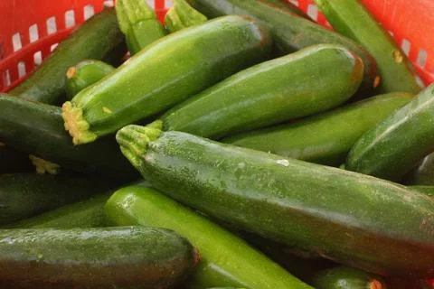 Zucchini Basket Stock Photos