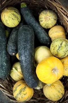 Zucchini in a basket Stock Photos