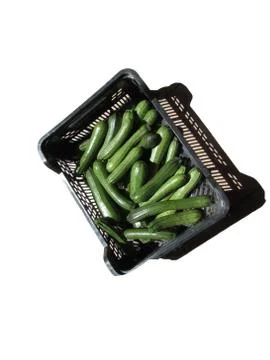 Zucchini in box on white background Foto stock