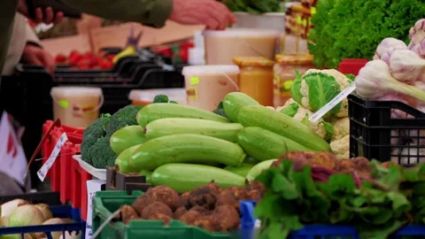 Zucchini, broccoli, vegetables – close-up of fresh green vegetables at farmer Stock Footage 311894818