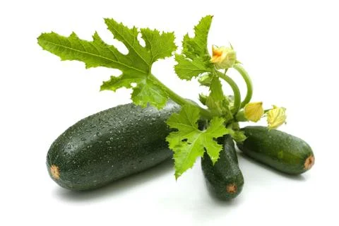 Zucchini bunch Stock Photos