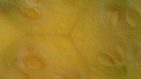 Zucchini close-up macro. Slice fresh courgette vegetable texture background Video stock 264937757