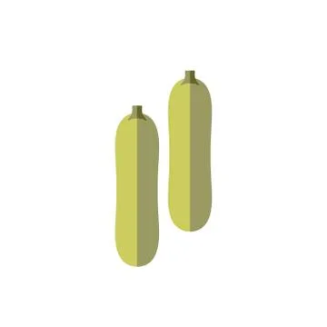 Zucchini color vector flat icon vegetable Stock Illustration