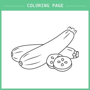 Zucchini coloring page vector イラスト素材