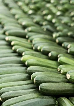 Zucchini courgette fresh selection 스톡 사진
