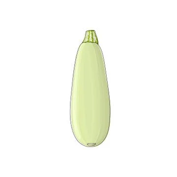 Zucchini Courgette Isolated on White Stock Illustration