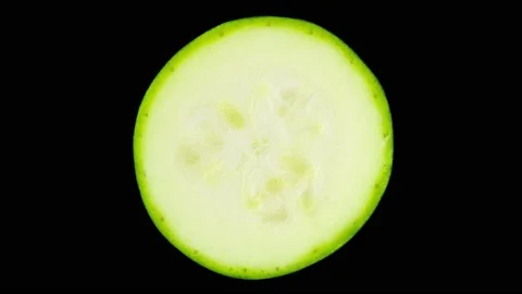 Zucchini, the cut circle one 動画素材 209562272