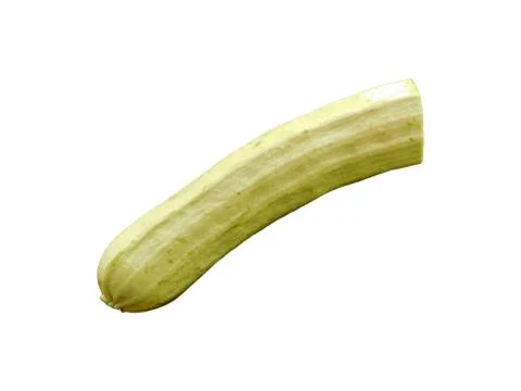 Zucchini to eat 스톡 사진