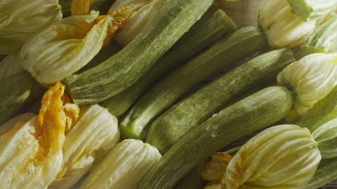 Zucchini falls on a bed of zucchini Stock Footage 132528668