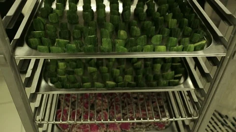 Zucchini filled trays Stock Footage 77050630