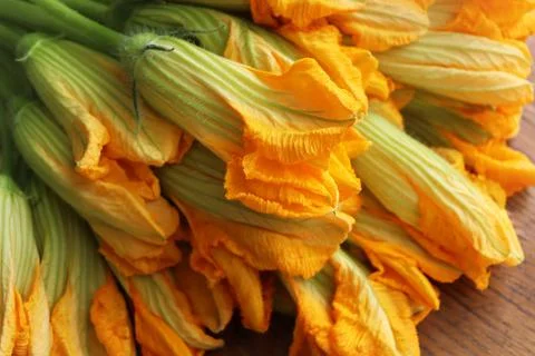 Zucchini flowers on dark rustic background Stock Photos