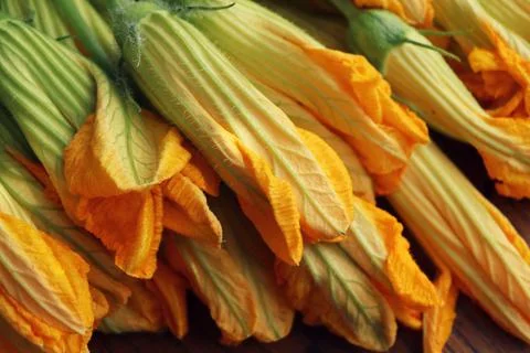 Zucchini flowers on dark rustic background Stock Photos