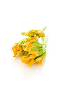 Zucchini flowers Stock Photos