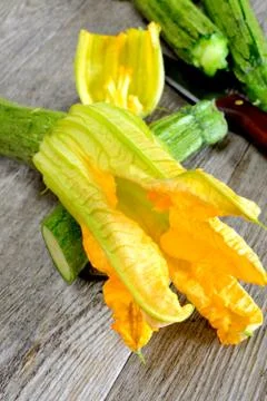 Zucchini flowers Foto stock