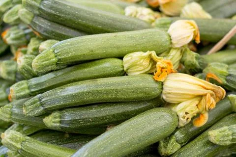 Zucchini with flowers Stock Photos