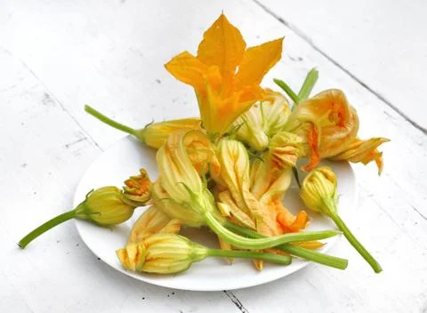 Zucchini flowers Stock Photos