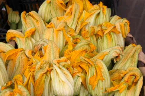 Zucchini flowers Fotos de archivo