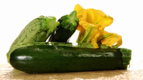 Zucchini Stock Footage 32346279