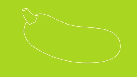 Zucchini Stock Footage 137300195