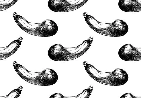 Zucchini hand drawn seamless pattern vector illustration. Isolated Vegetable  Stock Illustration
